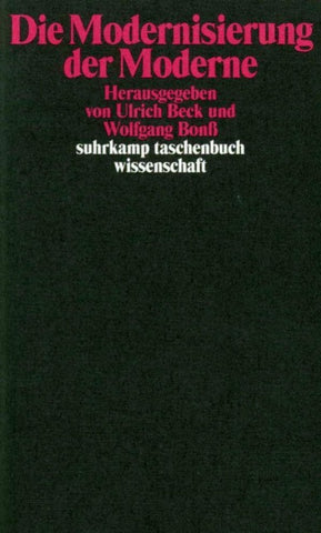 Die Modernisierung der Moderne