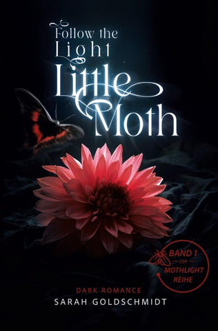 follow the light little moth