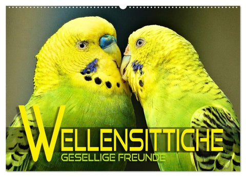 Wellensittiche - gesellige Freunde (Wandkalender 2027 DIN A2 quer), CALVENDO Monatskalender