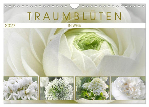 Traumblüten in Weiß (Wandkalender 2027 DIN A4 quer), CALVENDO Monatskalender