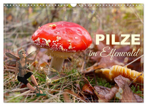 Pilze im Elfenwald (Wandkalender 2026 DIN A3 quer), CALVENDO Monatskalender