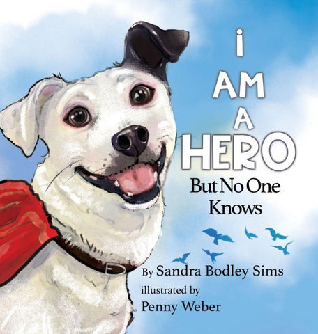 I Am A Hero But No One Knows