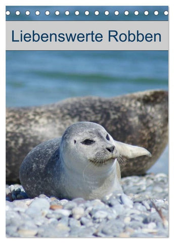 Liebenswerte Robben (Tischkalender 2026 DIN A5 hoch), CALVENDO Monatskalender