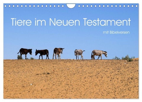 Tiere im Neuen Testament mit Bibelversen (Wandkalender 2026 DIN A4 quer), CALVENDO Monatskalender