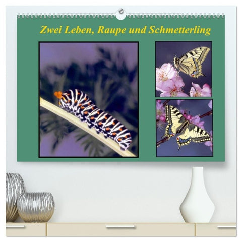 Zwei Leben, Raupe und Schmetterling (hochwertiger Premium Wandkalender 2027 DIN A2 quer), Kunstdruck in Hochglanz