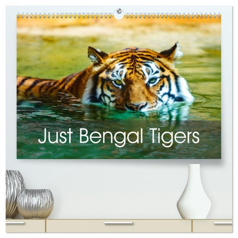 Just Bengal Tigers (High Quality Premium Wall Calendar 2026 DIN A2 landscape),CALVENDO 12 Month Wall Calendar