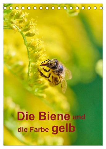 Die Biene und die Farbe gelb (Tischkalender 2027 DIN A5 hoch), CALVENDO Monatskalender
