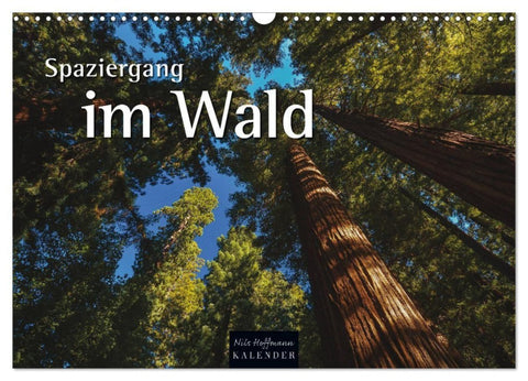Spaziergang im Wald (Wandkalender 2027 DIN A3 quer), CALVENDO Monatskalender
