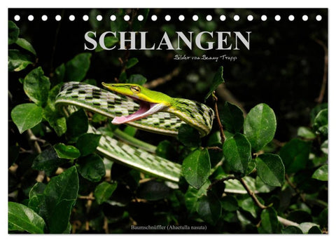 Schlangen (Tischkalender 2026 DIN A5 quer), CALVENDO Monatskalender