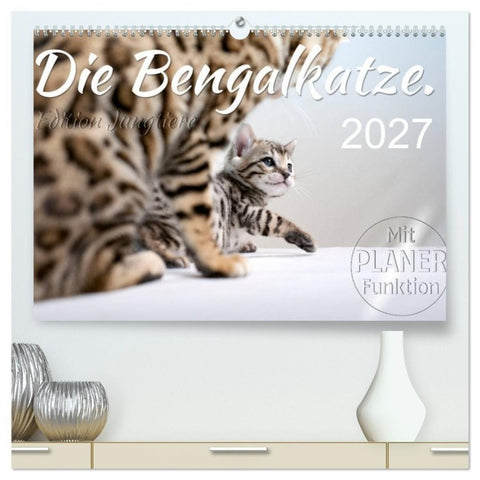 Die Bengalkatze. Edition Jungtiere (hochwertiger Premium Wandkalender 2027 DIN A2 quer), Kunstdruck in Hochglanz