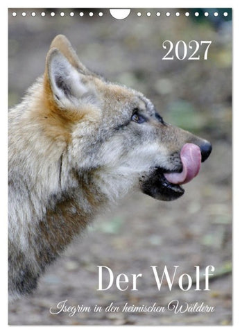 Der Wolf - Isegrim in den heimischen Wäldern - Kalender 2027 (Wandkalender 2027 DIN A4 hoch), CALVENDO Monatskalender