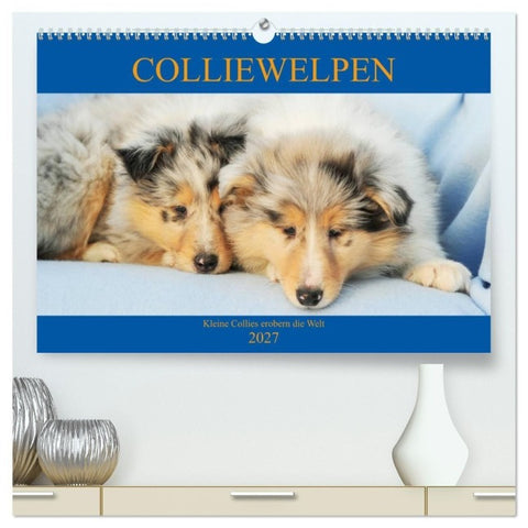 Colliewelpen - kleine Collies erobern die Welt (hochwertiger Premium Wandkalender 2027 DIN A2 quer), Kunstdruck in Hochglanz