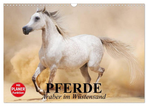 Pferde. Araber im Wüstensand (Wandkalender 2027 DIN A3 quer), CALVENDO Monatskalender