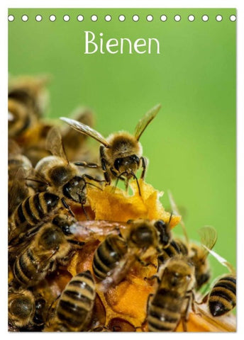 Bienen (Tischkalender 2027 DIN A5 hoch), CALVENDO Monatskalender