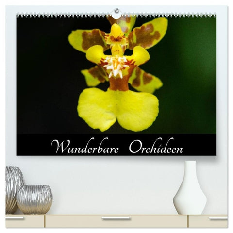 Wunderbare Orchideen (hochwertiger Premium Wandkalender 2027 DIN A2 quer), Kunstdruck in Hochglanz