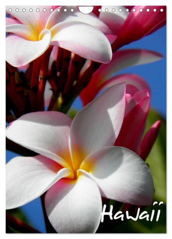 Hawaii (Wandkalender 2027 DIN A4 hoch), CALVENDO Monatskalender