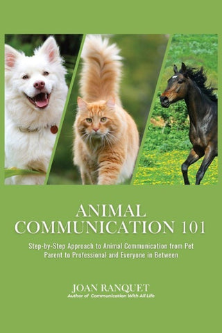 Animal Communication 101
