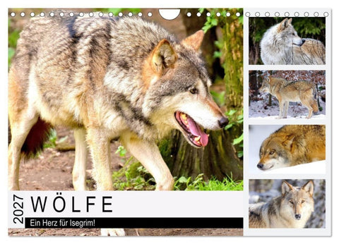 Wölfe. Ein Herz für Isegrim! (Wandkalender 2027 DIN A4 quer), CALVENDO Monatskalender