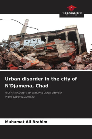 Urban disorder in the city of N'Djamena, Chad