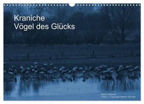 Kraniche (Wandkalender 2026 DIN A3 quer), CALVENDO Monatskalender