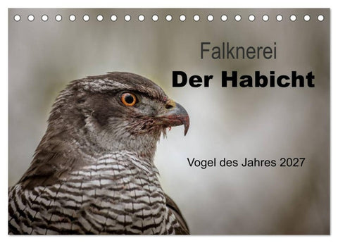Falknerei Der Habicht (Tischkalender 2027 DIN A5 quer), CALVENDO Monatskalender