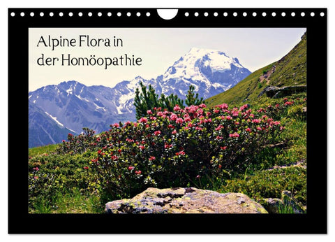 Alpine Flora in der Homöopathie (Wandkalender 2026 DIN A4 quer), CALVENDO Monatskalender