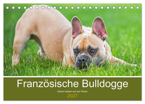 Französische Bulldogge - Kleine Helden auf vier Pfoten (Tischkalender 2027 DIN A5 quer), CALVENDO Monatskalender