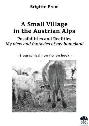 A Small Village in the Austrian Alps