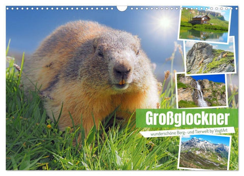 Großglockner wunderschöne Berg- und Tierwelt (Wandkalender 2027 DIN A3 quer), CALVENDO Monatskalender