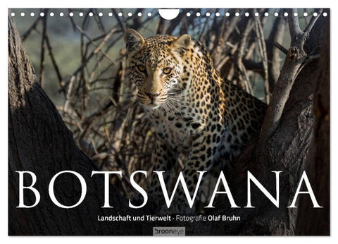 Botswana - Landschaft und Tierwelt (Wandkalender 2027 DIN A4 quer), CALVENDO Monatskalender