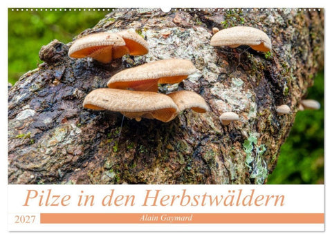 Pilze in den Herbstwäldern (Wandkalender 2027 DIN A2 quer), CALVENDO Monatskalender