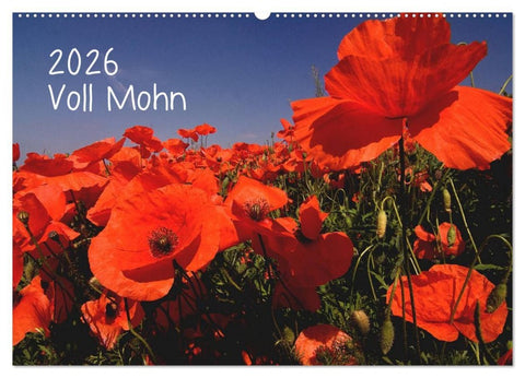 Voll Mohn (Wandkalender 2026 DIN A2 quer), CALVENDO Monatskalender