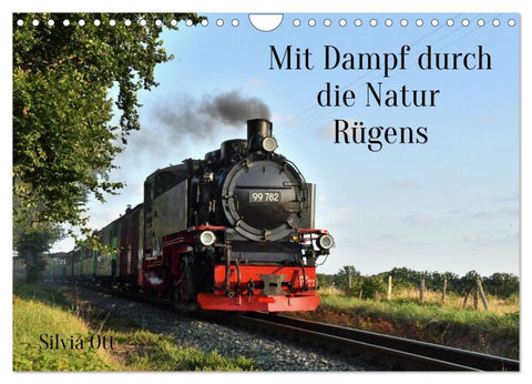 Mit Dampf durch die Natur Rügens (Wandkalender 2027 DIN A4 quer), CALVENDO Monatskalender