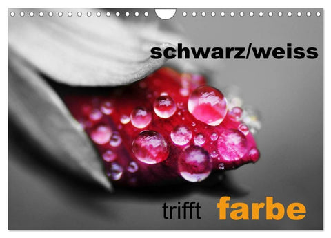 schwarz/weiß trifft farbe (Wandkalender 2026 DIN A4 quer), CALVENDO Monatskalender