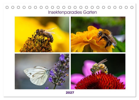 Insektenparadies Garten (Tischkalender 2027 DIN A5 quer), CALVENDO Monatskalender