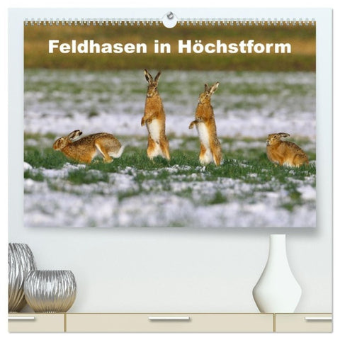 Feldhasen in Höchstform (hochwertiger Premium Wandkalender 2027 DIN A2 quer), Kunstdruck in Hochglanz