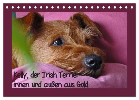 Kelly, der Irish Terrier - innen und außen aus Gold (Tischkalender 2027 DIN A5 quer), CALVENDO Monatskalender