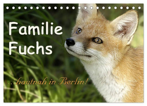 Familie Fuchs hautnah in Berlin (Tischkalender 2027 DIN A5 quer), CALVENDO Monatskalender
