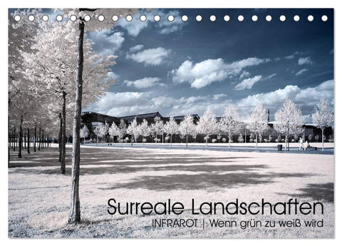 Surreale Landschaften. INFRARROT - Wenn grün zu weiß wird (Tischkalender 2026 DIN A5 quer), CALVENDO Monatskalender