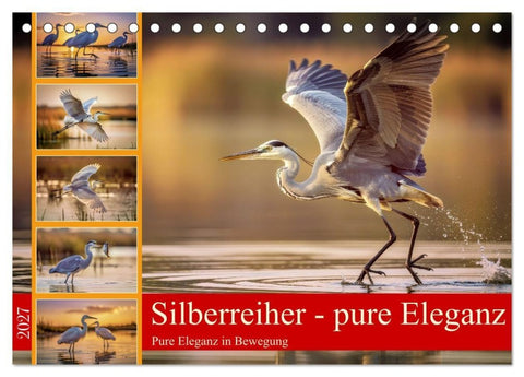Silberreiher - pure Eleganz (Tischkalender 2027 DIN A5 quer), CALVENDO Monatskalender