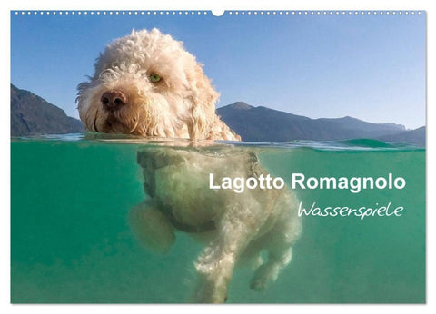 Lagotto Romagnolo - Wasserspiele (Wandkalender 2027 DIN A2 quer), CALVENDO Monatskalender