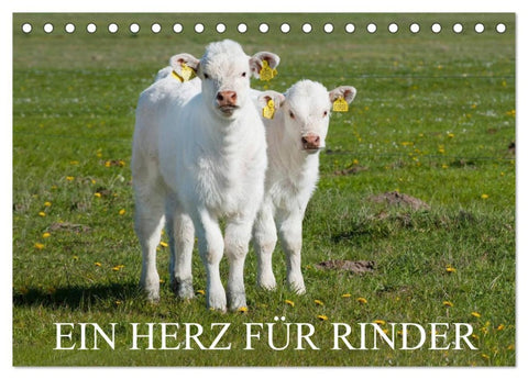 Ein Herz für Rinder (Tischkalender 2026 DIN A5 quer), CALVENDO Monatskalender