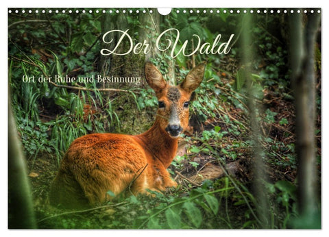 Der Wald - Ort der Ruhe und Besinnung (Wandkalender 2026 DIN A3 quer), CALVENDO Monatskalender