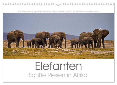 Elefanten - Sanfte Riesen in Afrika (Wandkalender 2027 DIN A3 quer), CALVENDO Monatskalender
