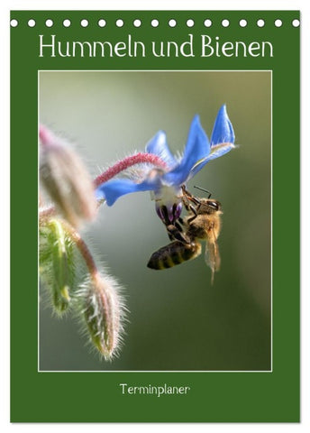 Hummeln und Bienen Terminplaner (Tischkalender 2026 DIN A5 hoch), CALVENDO Monatskalender