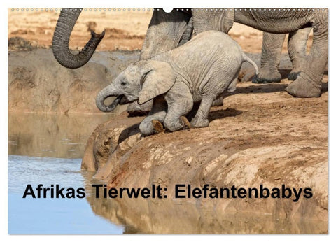 Afrikas Tierwelt: Elefantenbabys (Wandkalender 2027 DIN A2 quer), CALVENDO Monatskalender