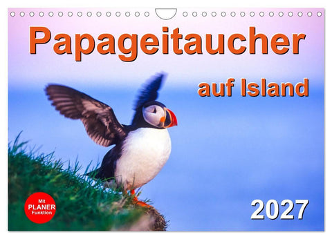 Papageitaucher auf Island (Wandkalender 2027 DIN A4 quer), CALVENDO Monatskalender