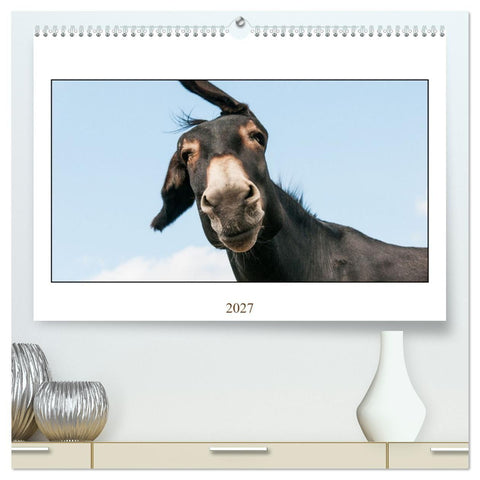 Esel Lebensfreude - Spaß mit Langohren (hochwertiger Premium Wandkalender 2027 DIN A2 quer), Kunstdruck in Hochglanz