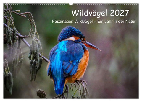 Wildvögel 2027 (Wandkalender 2027 DIN A2 quer), CALVENDO Monatskalender