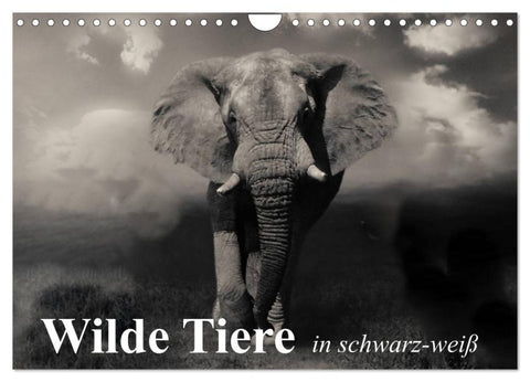 Wilde Tiere in schwarz-weiß (Wandkalender 2026 DIN A4 quer), CALVENDO Monatskalender